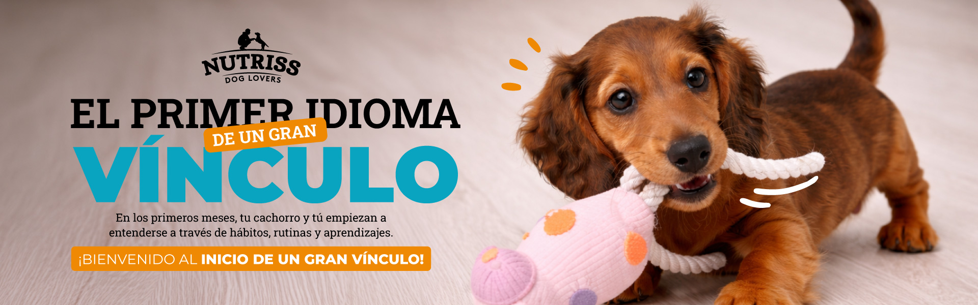 Banner dia del cachorro